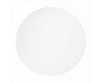 Мембранный фильтр марки ПЭС-0,20, диск 47 мм, пор.0,20 мкм, полиэфирсульфон, 200 шт/упак